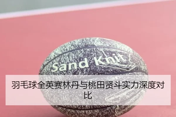 羽毛球全英赛林丹与桃田贤斗实力深度对比